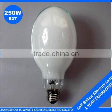 china ebay self ballast mercury lamp 250w