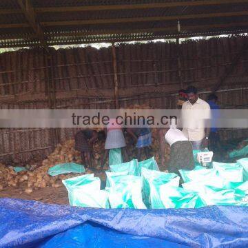 Semi Husked Cocount photo-3