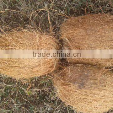 Cocounts Organic Fresh photo-2