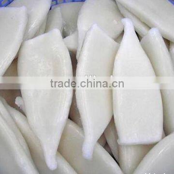 frozen fresh squid tube U4 U5 U7 U8