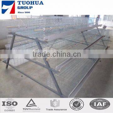 Factory top selling chicken layer cage for small chicken