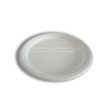 JUST Disposable Biodegradable Paper Pulp Bagasse Oval Plate 10