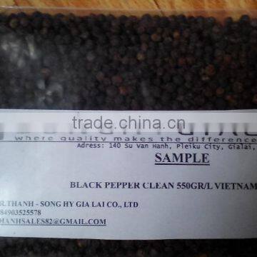 VIETNAM BLACK PEPPER BEST PRICE photo-4