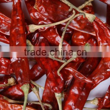 Cost of Red Chilli