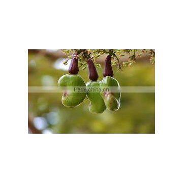 Cashew Nuts... photo-2