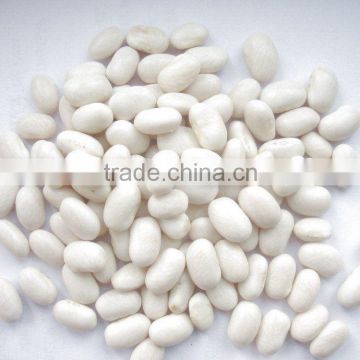 Japanese style white Kidney Beans