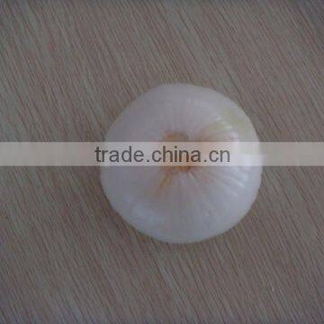 2015 New Crop Fresh Peeled Onion in China photo-6