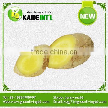 Direct From Factory Fresh Ginger 10kg/Ctn