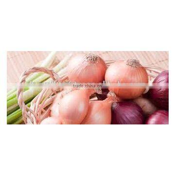 Fresh (RED ,Yellow , White ) ONION