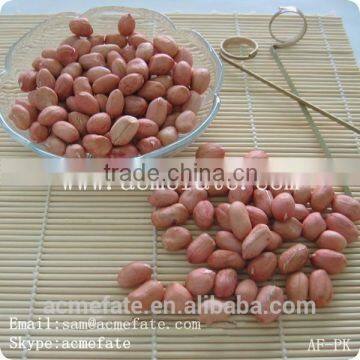 Chinese big size blanched red skin peanut kernels without shell