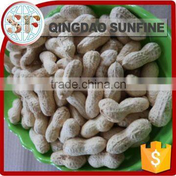 Cheap organic roasted peanuts in shell