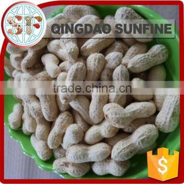 Organic roasted peanuts in shell processing