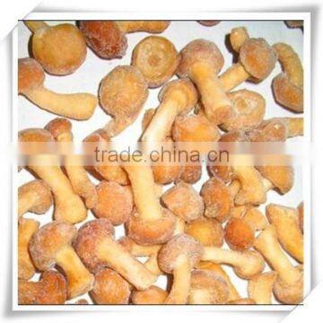 Best Selling Fresh Frozen Shiitake Mushroom photo-3