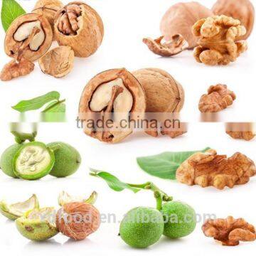 Best Popular Fenyan Mayifang Light Pieces Walnut Krtnel,walnut meat,raw walnut meat