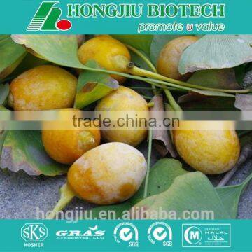 Ginkgo Biloba Extract/Ginkgo Biloba Extract Powder/Ginkgo Biloba