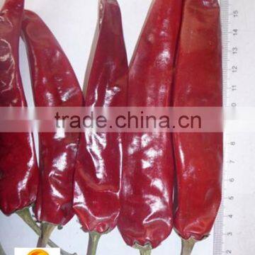 Certificated HACCP HALAL fabulous red whole Jinta chilli