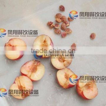 High Quality Plum Stoner, Plum Pitter, Plum Corer With CE Certificated photo-2