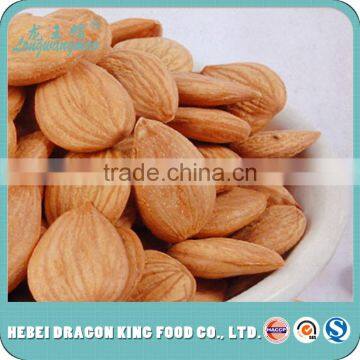 Wholesale price apricot nut, sweet or bitter apricot kernels made in Zhangjiakou factory