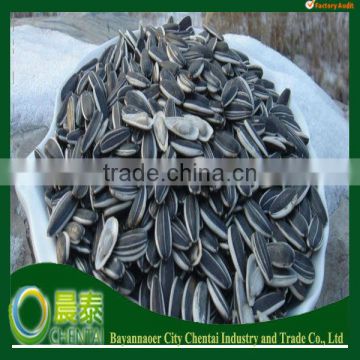 Wholesale 6009 Raw Striped Sunflower Seeds 24/64