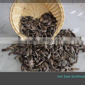 Dried Style and Raw Processing Type Black Sunflower Seeds