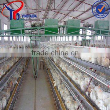Chicken Layer Equipment for Poultry Farm photo-4