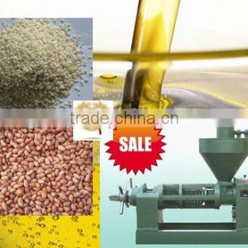 HOT SALE 6YL-120 Oil press