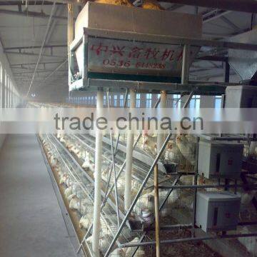 chicken farm equipment