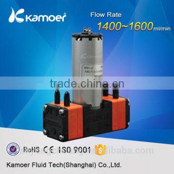 KLP02 12V/24V Diaphragm Pump With Brush Motor Double Head