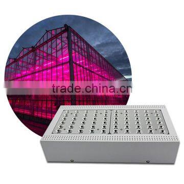 5w Epistar Chip 300w Led Grow Light Full Spectrum Hydroponic Lights for Plants Grow photo-2