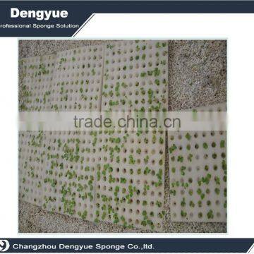 Agricultural Polyurethane High Densuty Seeding Planting Sponge