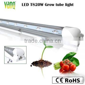 Cheap T8 20w Led Grow Tube for Vertical Seeding Tissue Culture photo-5