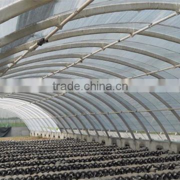 china supplier tomato plastic high tunnel greenhouse