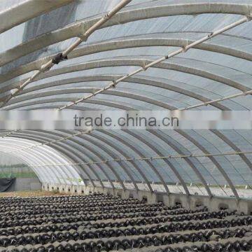 the Most Cheap Tunnel Greenhouse for Fruit photo-2