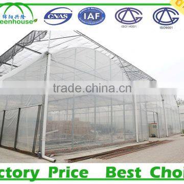 Film Cover Material and Multi-Span Agricultural Commercial Greenhouses