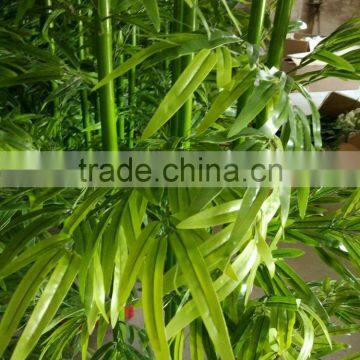 CHY030928 Landscaping Decoration Bamboo Pole/ Plastic Bamboo Stick/artificial Bamboo Plant photo-3