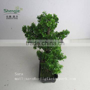 Indoor Bonsai,potted Evergreen Foliage, Decorative Landscape photo-3