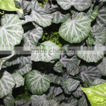 stickers home garden deco 200*200 cm indoor or outdoor artificial corner succulent green climbing plant wall Ezwq10 103