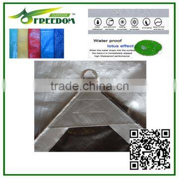 PE Tarpaulin With Cheap Price and High Quality for Truck Cover photo-5