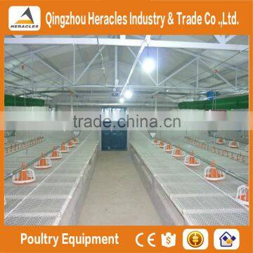 Hot Sale in China Poultry Farming Equipmentl -flooring Feed Pan and Drinking Nipple photo-3