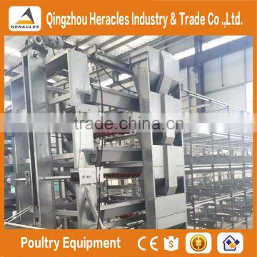 Best Selling Poultry Farming Layer Chicken Cage-H Type 4 or 5 Layers for Egg Chicken photo-4