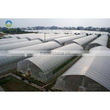 Agricultural Film Covering Vegetable Greenhouse photo-2