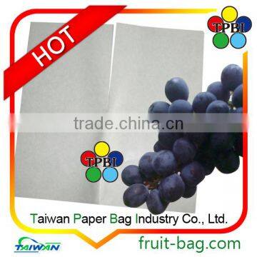TPBI Taiwan Factory Agriculture White Grape Bag Growing Coating Paper Bag photo-2