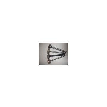 intake exhaust valve