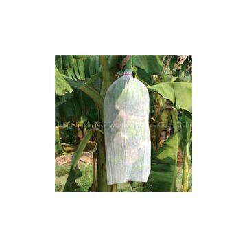 Banana Growing Bags