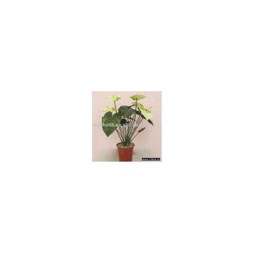 artificial Anthuriums