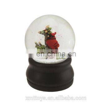 snow globe lifelike birds inside