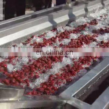 cranberry mango persimmon papaya mulberry carrot cleaning machine vegetable and fruit cleaning machine