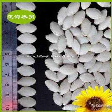 Pumpkin Seeds Shine Skin photo-3