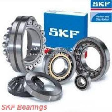 SKF Bearings