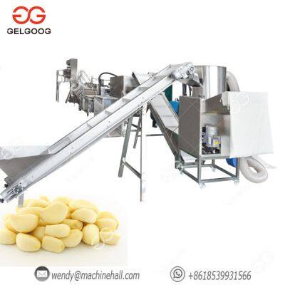 Garlic Peeler Industrial Garlic Peeling Machine Garlic Peeling Line With Washing Peeling Packing photo-3